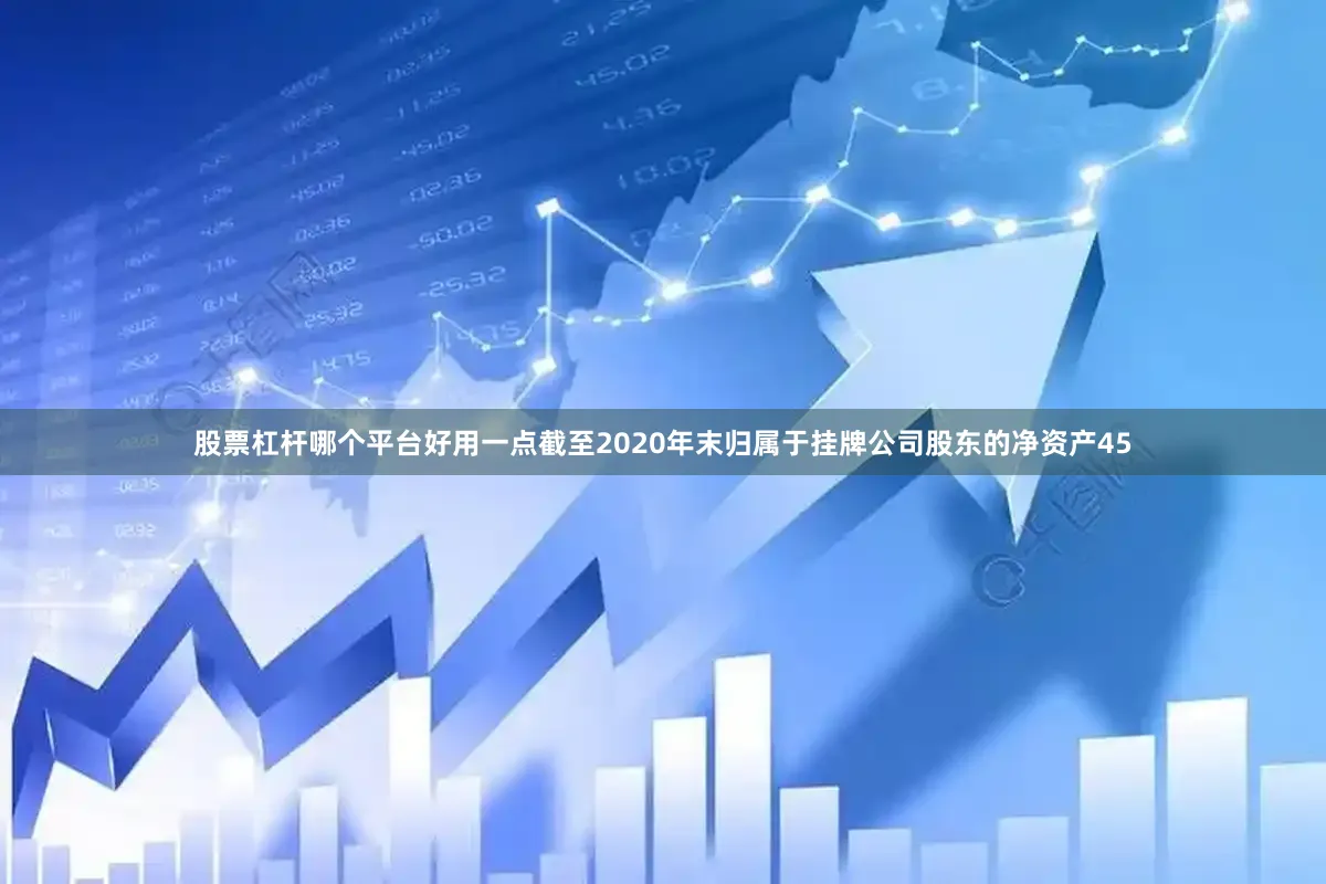 股票杠杆哪个平台好用一点截至2020年末归属于挂牌公司股东的净资产45